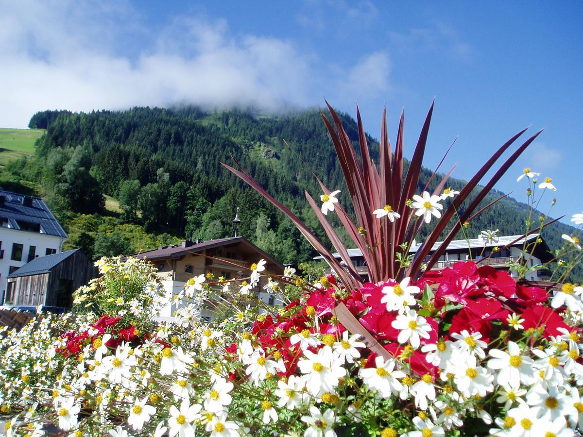 Am Zwoelferkogel Appartements Saalbach-Hinterglemm Luaran gambar