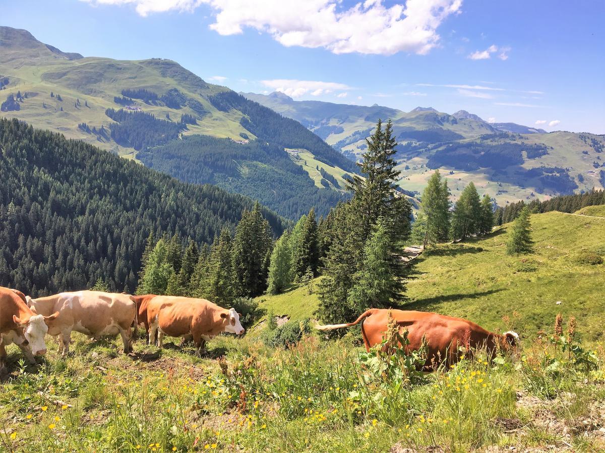 Am Zwoelferkogel Appartements Saalbach-Hinterglemm Luaran gambar