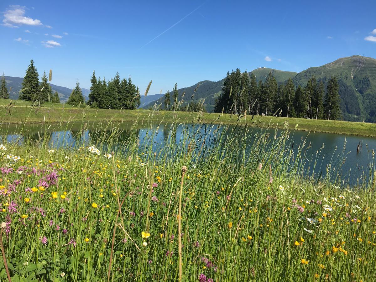 Am Zwoelferkogel Appartements Saalbach-Hinterglemm Luaran gambar