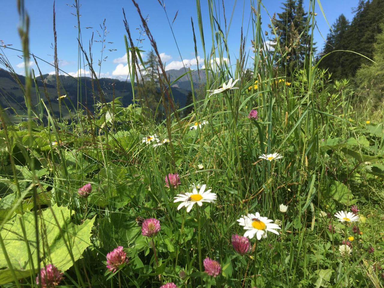 Am Zwoelferkogel Appartements Saalbach-Hinterglemm Luaran gambar